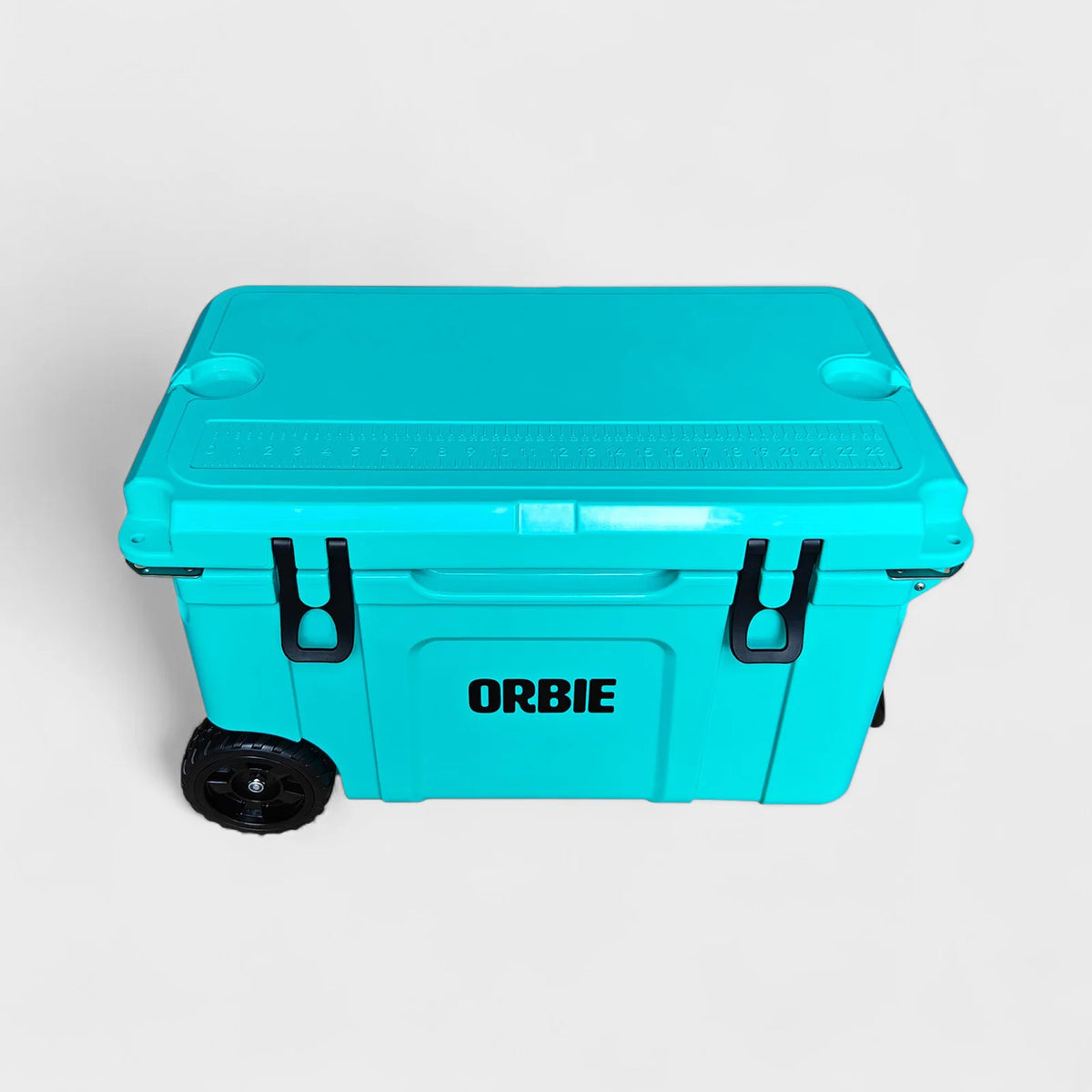 Orbie 55qt Cool Box - Turquoise