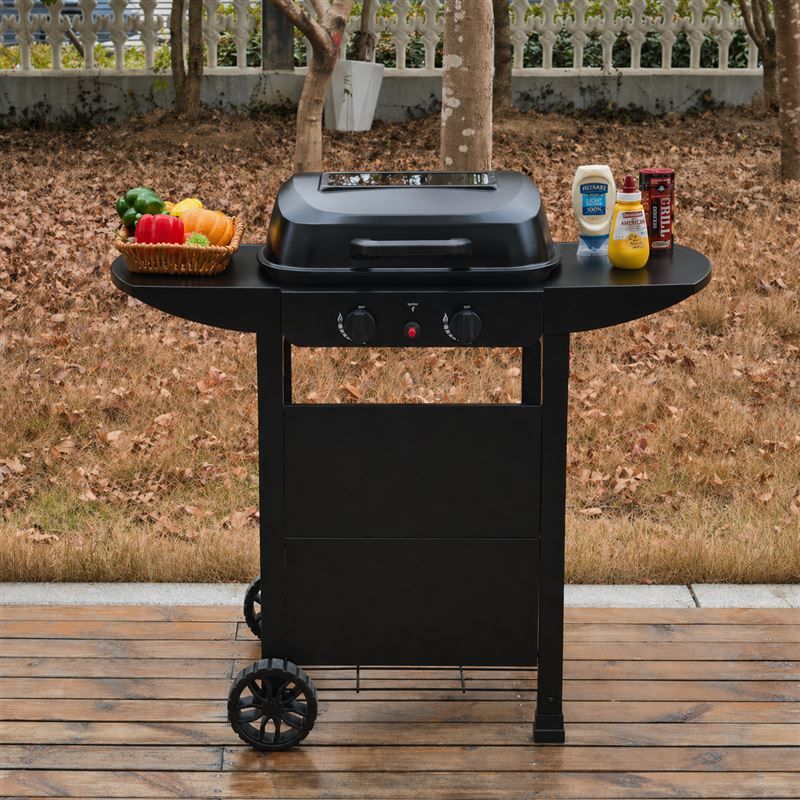 Callow 2 Burner Gas Grill BBQ with Cover and Lid